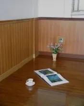 Woody Foamed Plastic