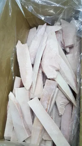 長鰭鮪魚塊/魚柳/腹肉/魚片 批發/加工