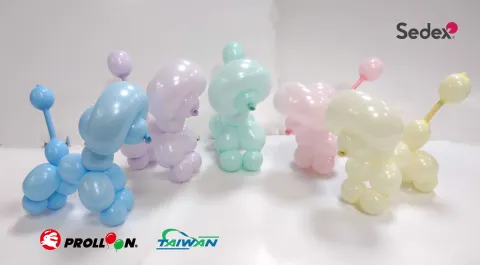 馬卡龍氣球貴賓狗