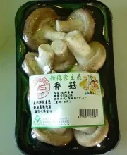 Shiitake Mushroom