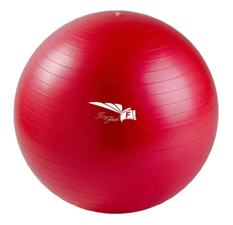 Ballon de Fitness à Résistance à l'Éclatement