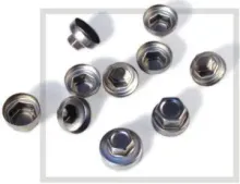 Stainless Steel Nuts