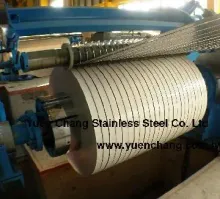 Prime Cold Rolled Stainless Steel Strip