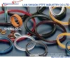 彈簧油封 Spring Energized Seals 