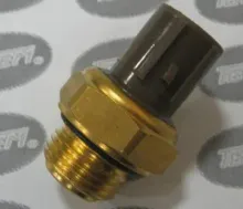 Thermo switch